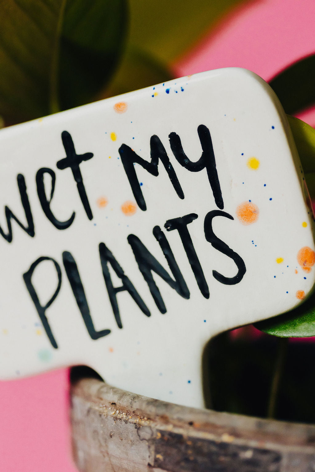 I Wet My Plants Funny Punny Garden Plant Stake