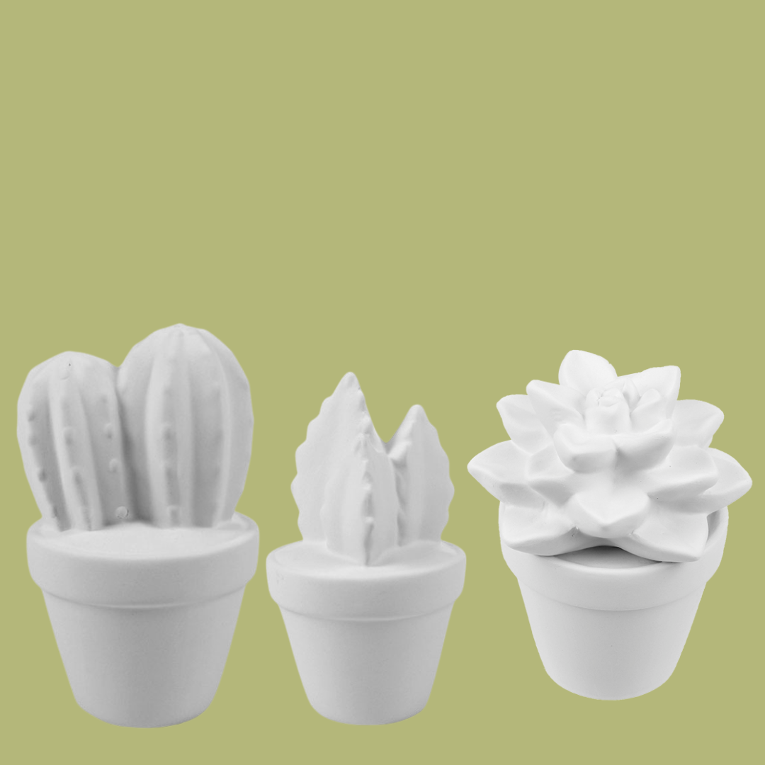 Kids Birthday Pop-Up Pottery Painting Package