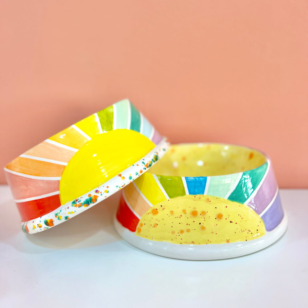 
                      
                        Sunshine Dog Bowls
                      
                    