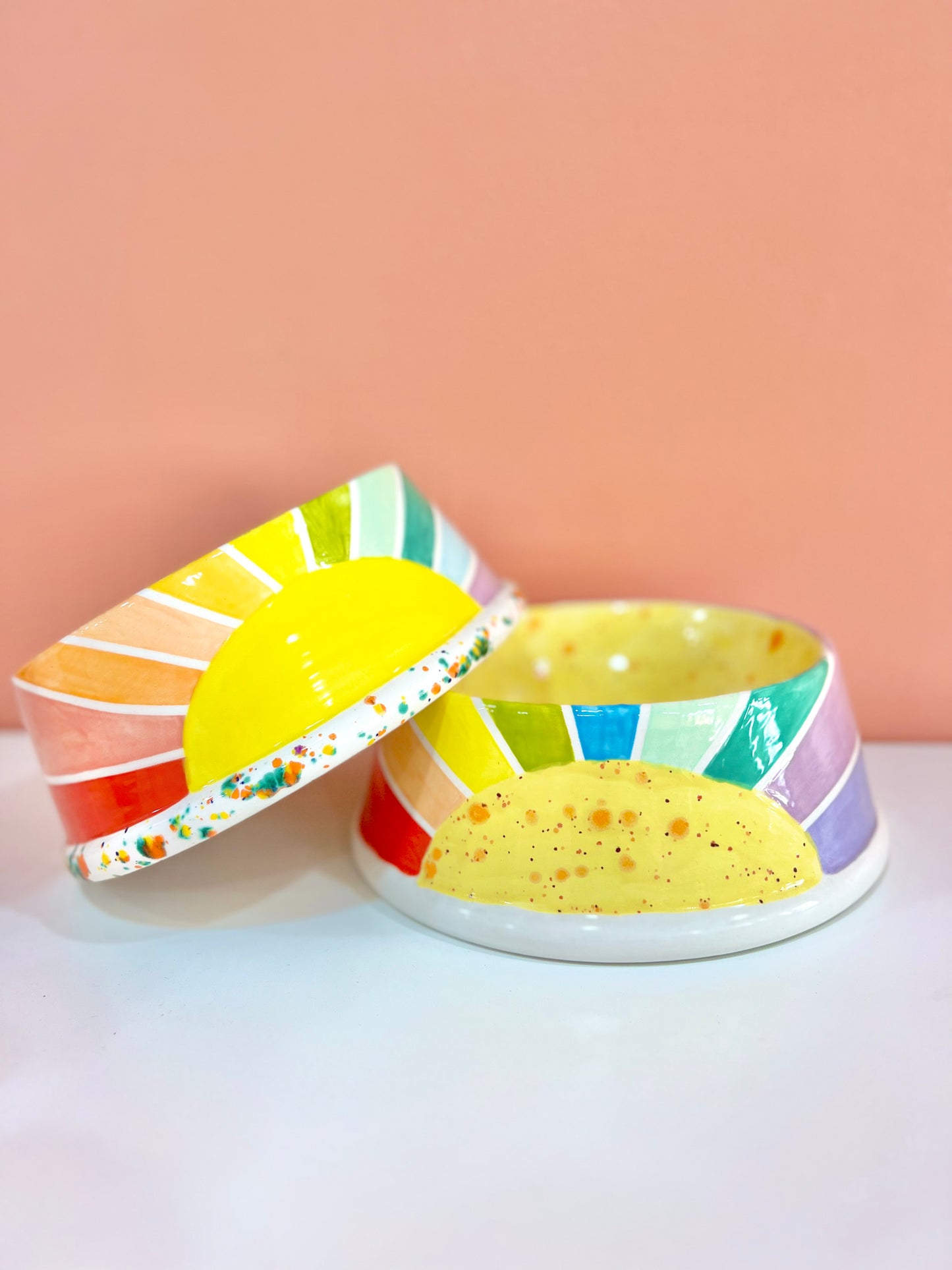 Sunshine Dog Bowls