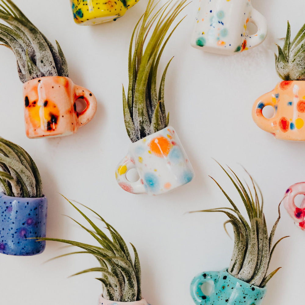 Lil' Air Plant Magnetic Mugs