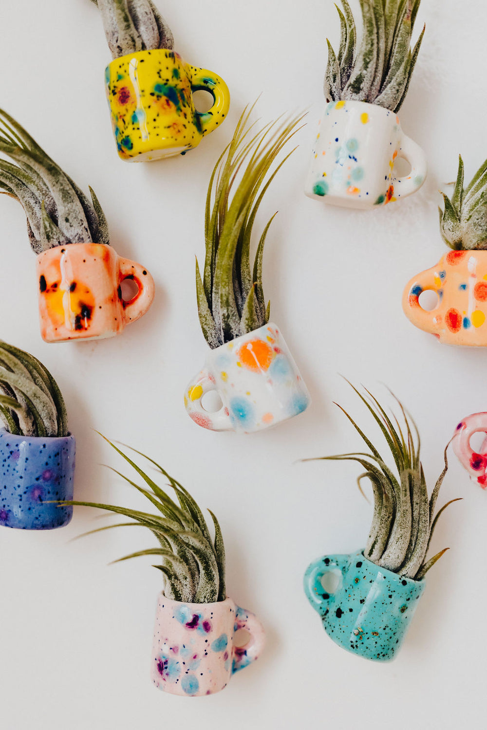 Lil' Air Plant Magnetic Mugs