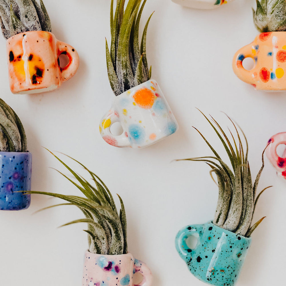 
                      
                        Lil' Air Plant Magnetic Mugs
                      
                    