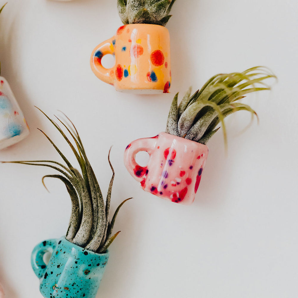 
                      
                        Lil' Air Plant Magnetic Mugs
                      
                    