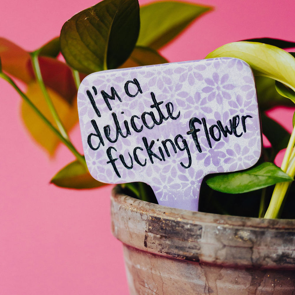 
                      
                        I'm a Delicate F***** Flower Funny Punny Garden Plant Stake
                      
                    