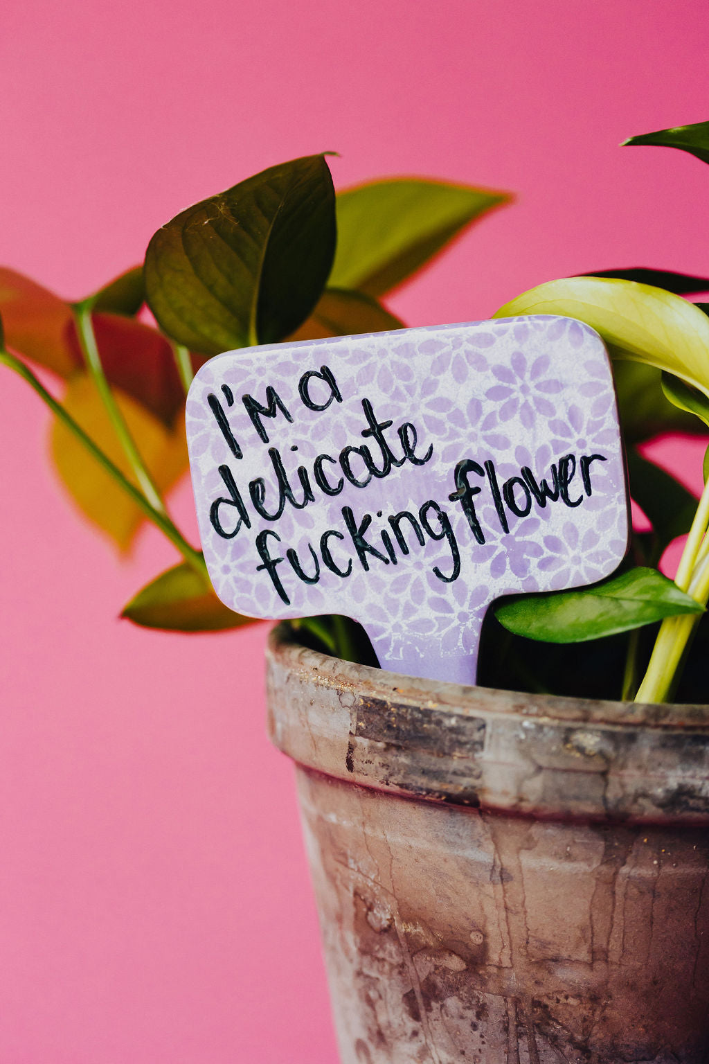 I'm a Delicate F***** Flower Funny Punny Garden Plant Stake