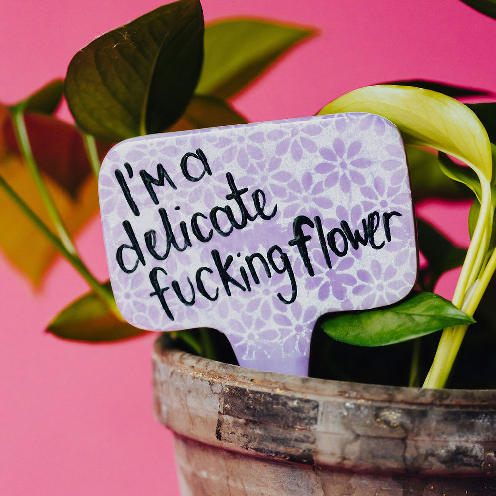 
                      
                        I'm a Delicate F***** Flower Funny Punny Garden Plant Stake
                      
                    