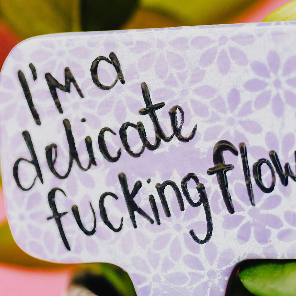 
                      
                        I'm a Delicate F***** Flower Funny Punny Garden Plant Stake
                      
                    