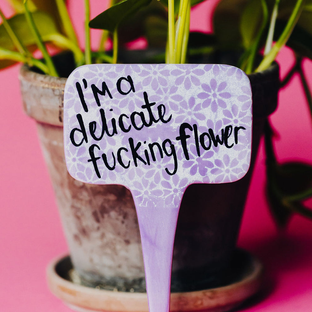 
                      
                        I'm a Delicate F***** Flower Funny Punny Garden Plant Stake
                      
                    