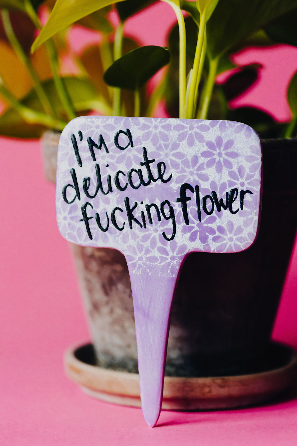 I'm a Delicate F***** Flower Funny Punny Garden Plant Stake