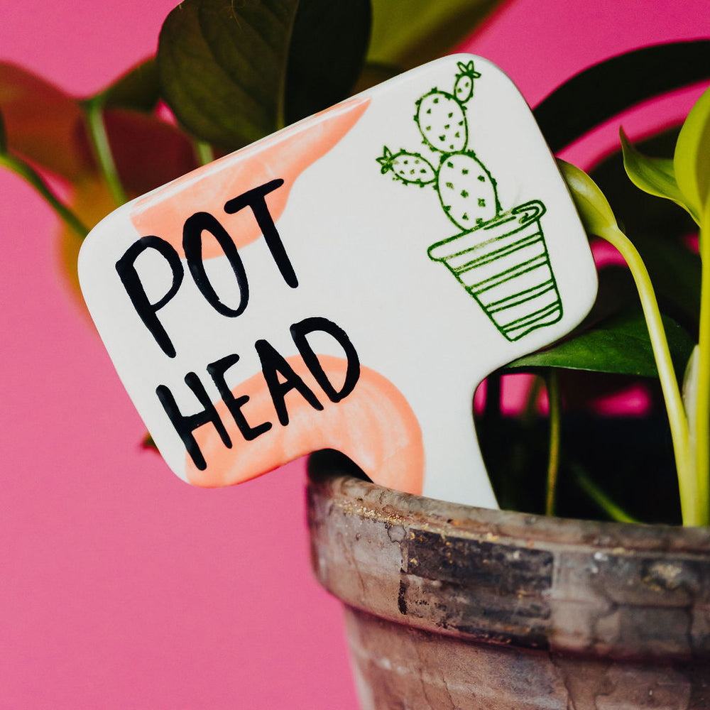 
                      
                        Pot Head Funny Punny Garden Plant Stake
                      
                    