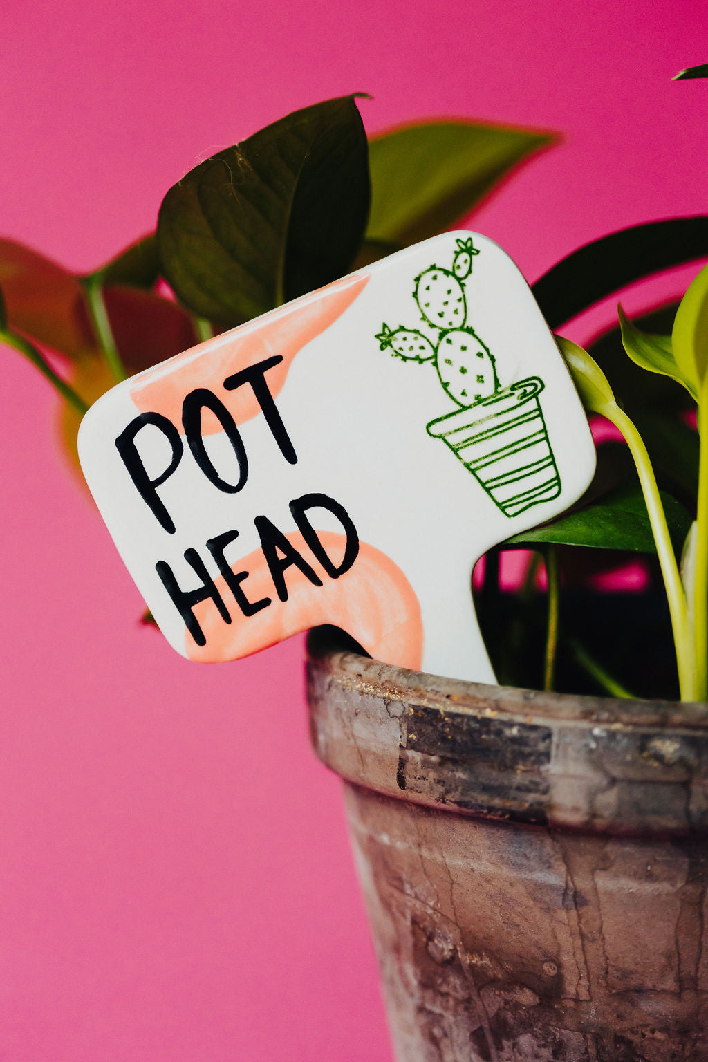 Pot Head Funny Punny Garden Plant Stake