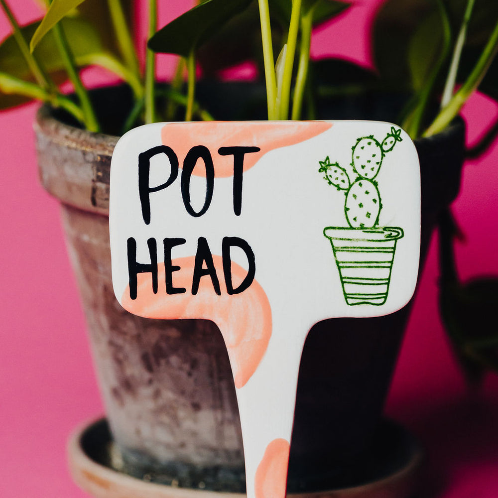 
                      
                        Pot Head Funny Punny Garden Plant Stake
                      
                    