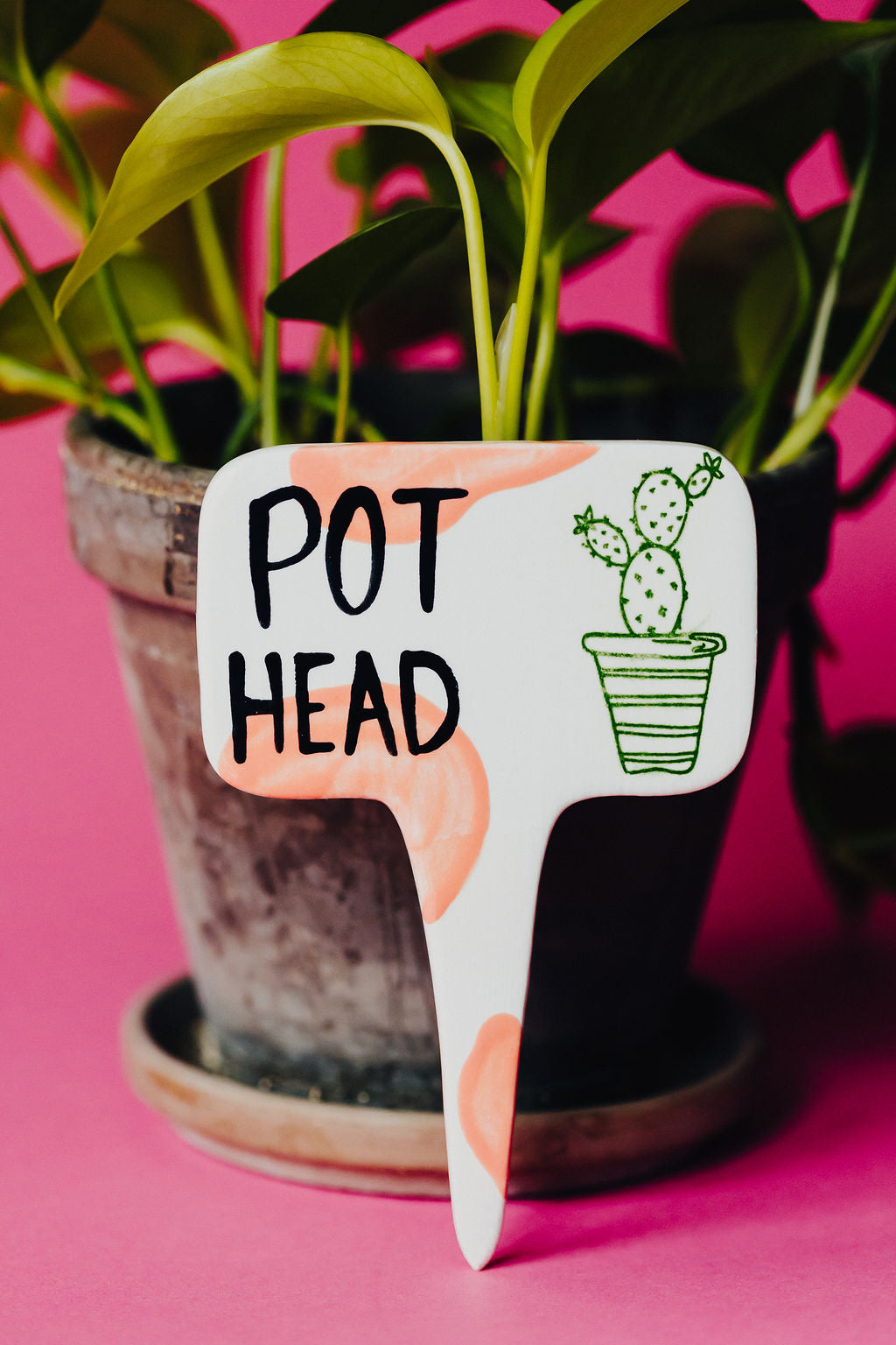 Pot Head Funny Punny Garden Plant Stake