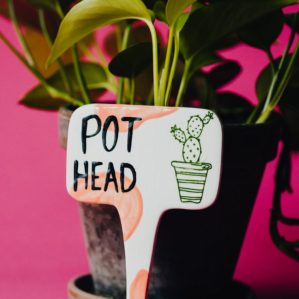 
                      
                        Pot Head Funny Punny Garden Plant Stake
                      
                    