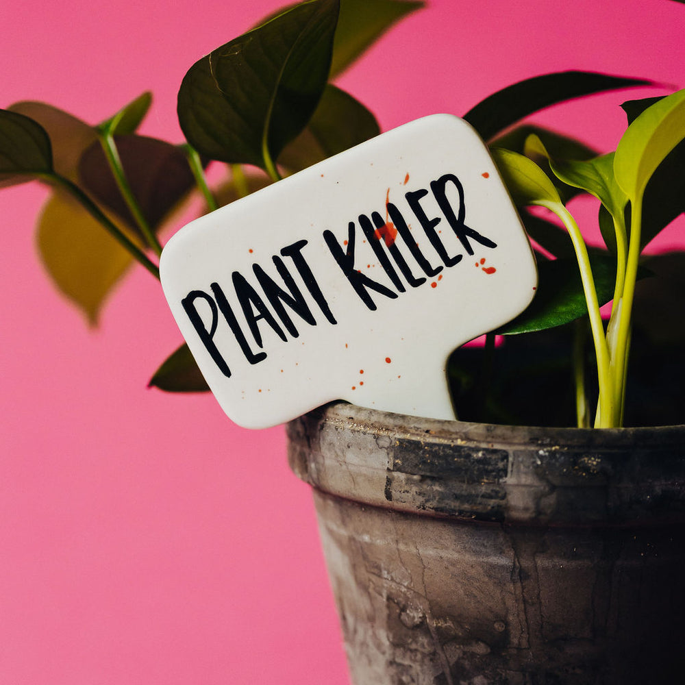 Plant Killer Funny Punny Garden Plant Stake