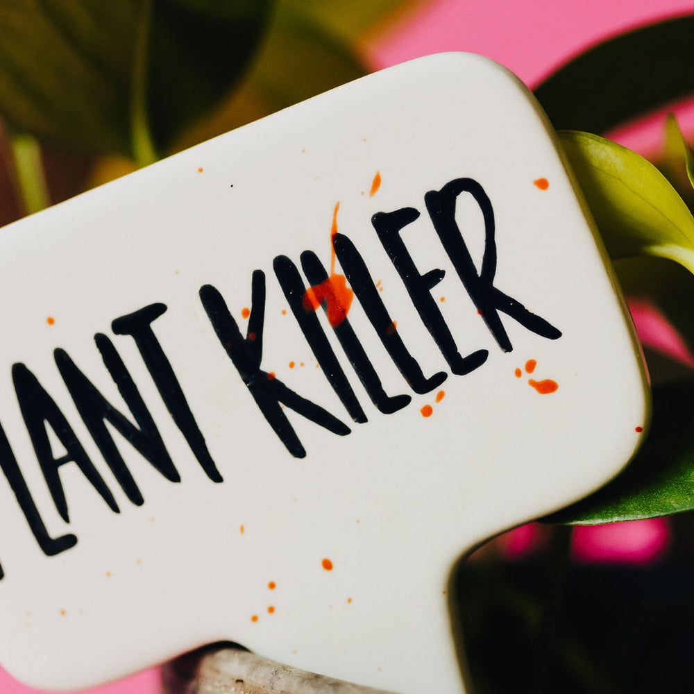 Plant Killer Funny Punny Garden Plant Stake