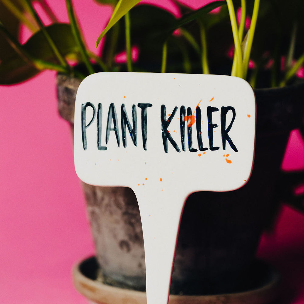 
                      
                        Plant Killer Funny Punny Garden Plant Stake
                      
                    