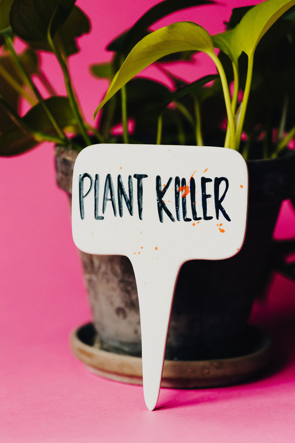 Plant Killer Funny Punny Garden Plant Stake