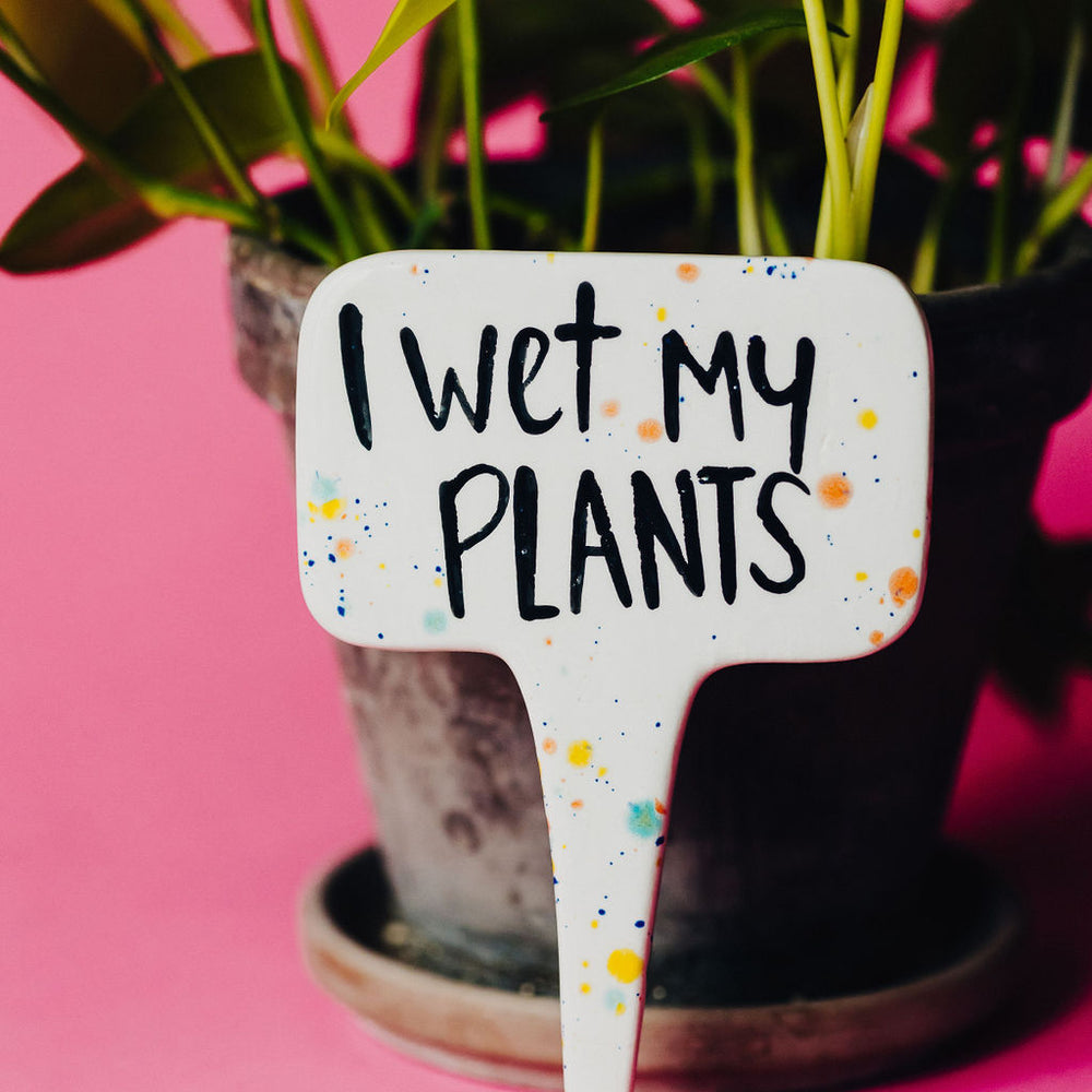 
                      
                        I Wet My Plants Funny Punny Garden Plant Stake
                      
                    