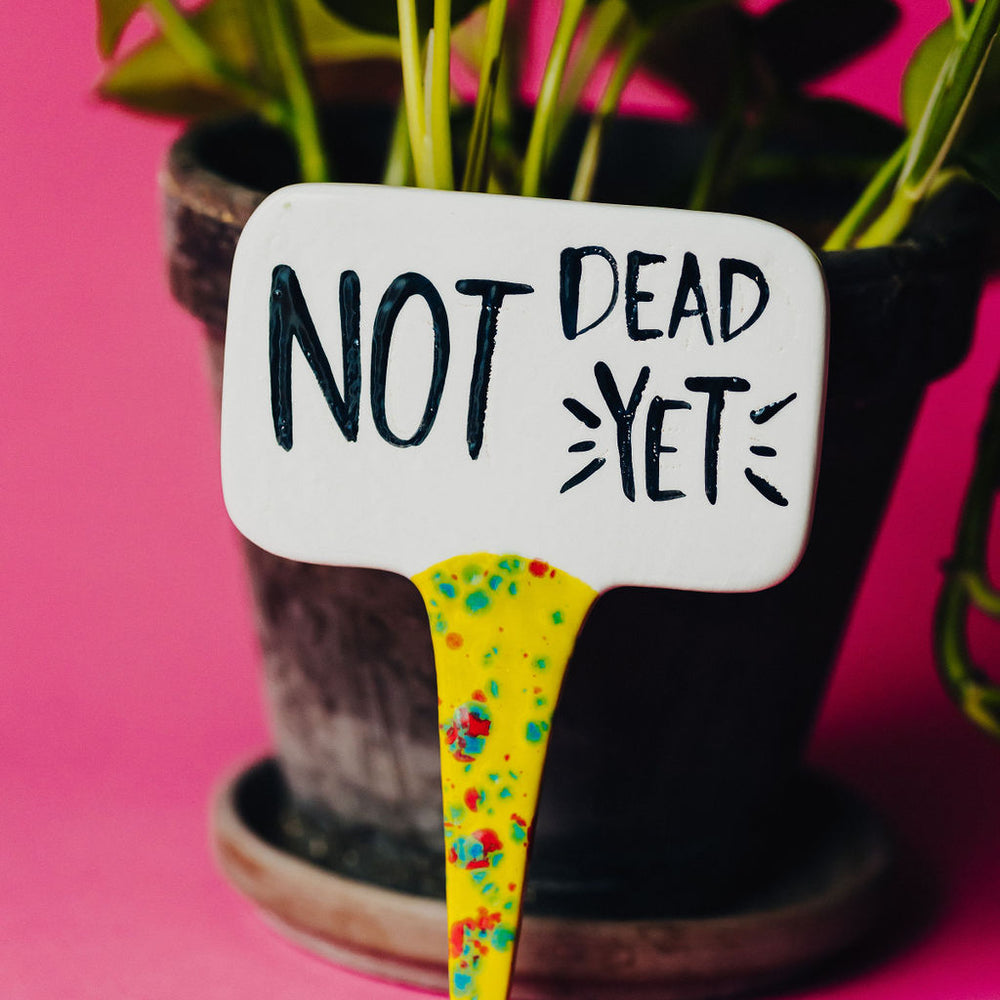 
                      
                        Not Dead Yet Funny Punny Garden Plant Stake
                      
                    