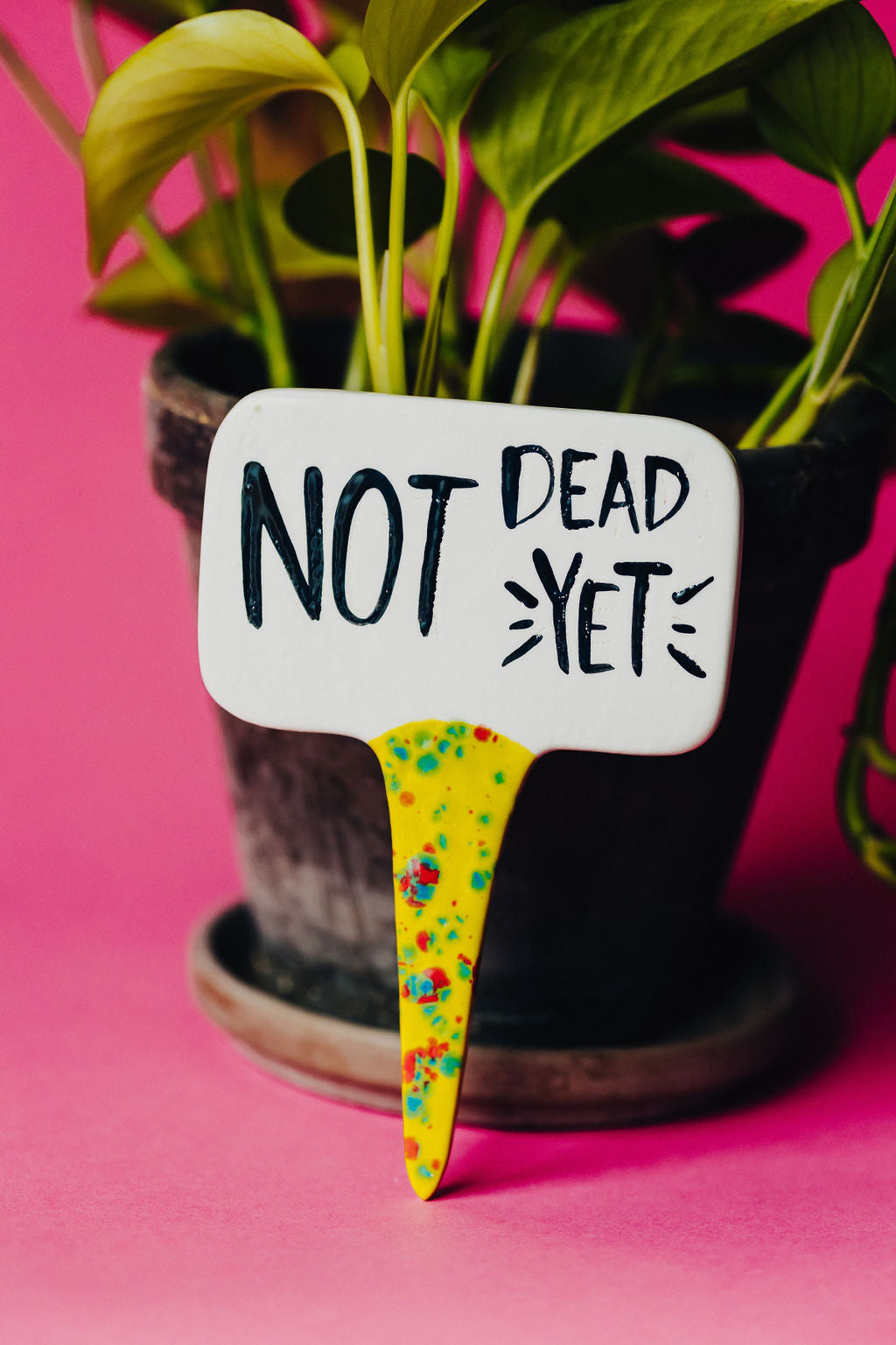 Not Dead Yet Funny Punny Garden Plant Stake
