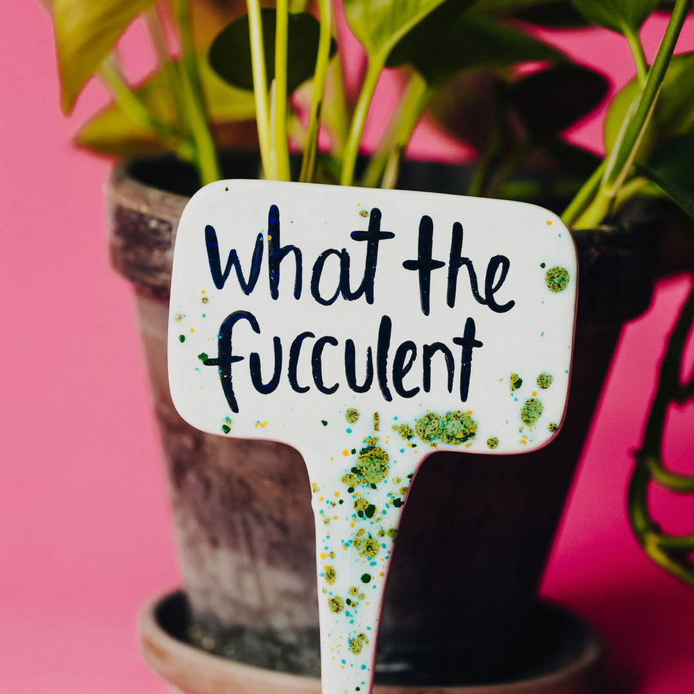 
                      
                        What the Fucculent Funny Punny Garden Plant Stake
                      
                    