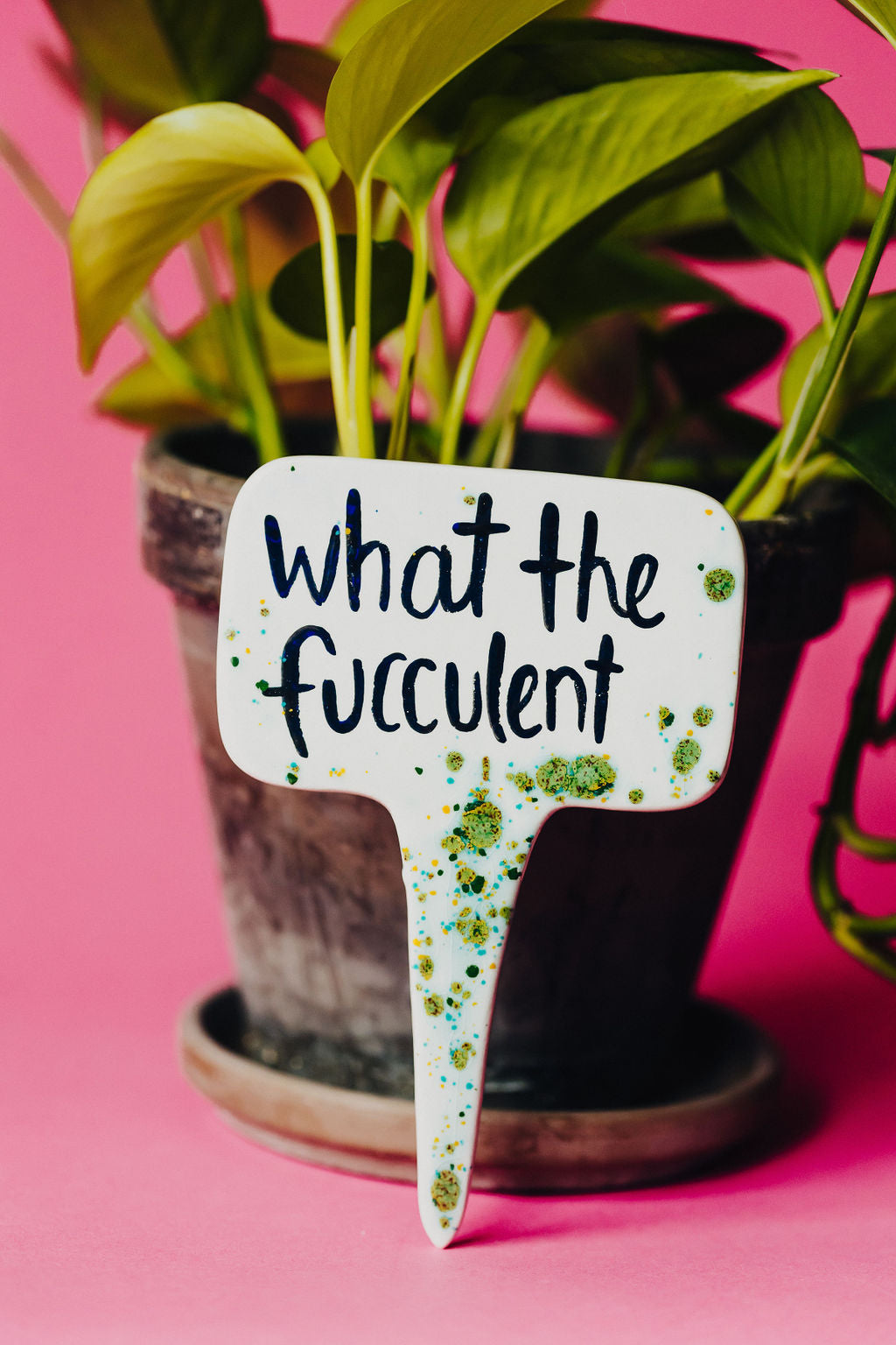 What the Fucculent Funny Punny Garden Plant Stake