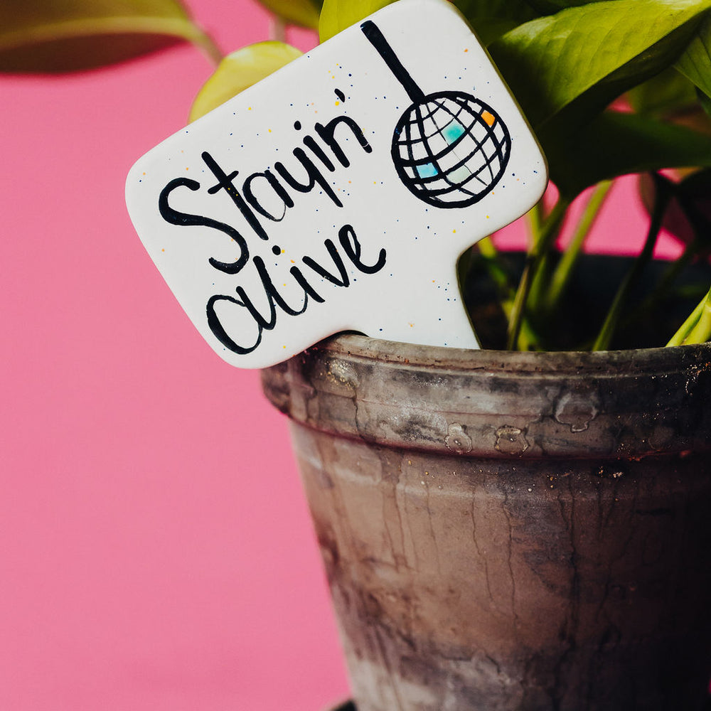 
                      
                        Stayin' Alive Funny Punny Garden Plant Stake
                      
                    