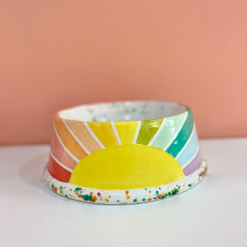 Sunshine Dog Bowls