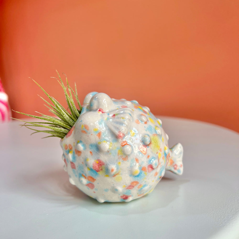 Pufferfish Air Plant Friend